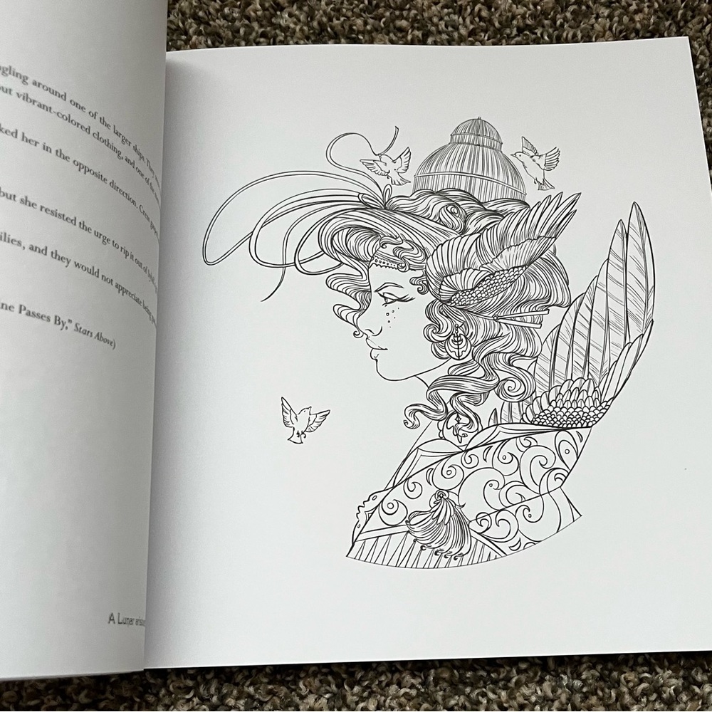 The Lunar Chronicles Coloring Book - Picture 11 of 12